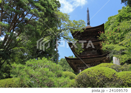 信州　国宝大法寺三重塔 24109570