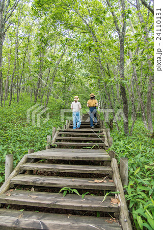 釧路湿原展望台　林の中の木道を歩く2人の女性 24110131