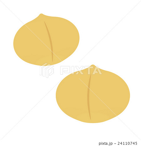 マカダミアナッツ マカダミアナッツ 24110745