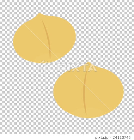 Macadamia nut 24110745