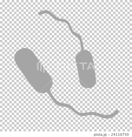 腸炎ビブリオ 24110750