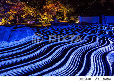 博多千年煌夜 博多千年煌夜 24110808