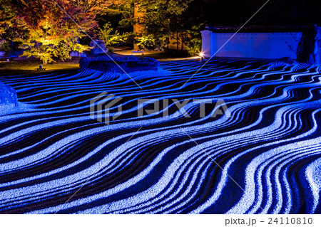 博多千年煌夜 博多千年煌夜 24110810