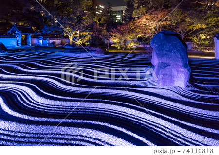 博多千年煌夜 博多千年煌夜 24110818