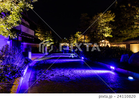 博多千年煌夜 24110820