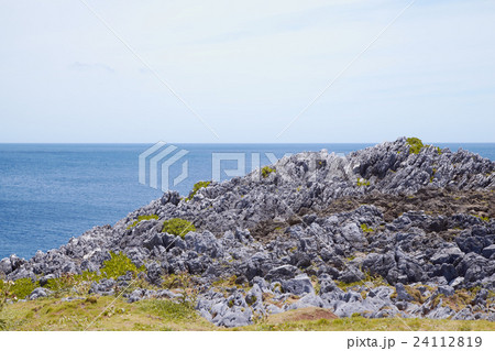 沖縄 / Okinawa 24112819