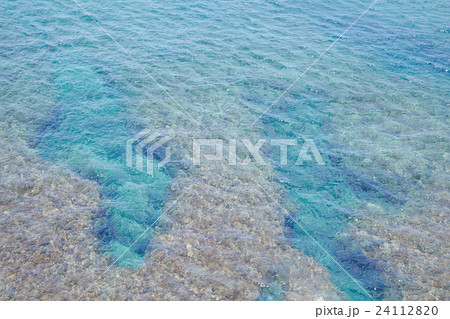 沖縄 / Okinawa 24112820