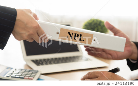 npl 24113190