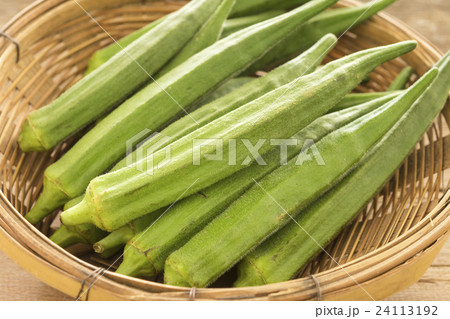 Okra, Lady's Finger 24113192