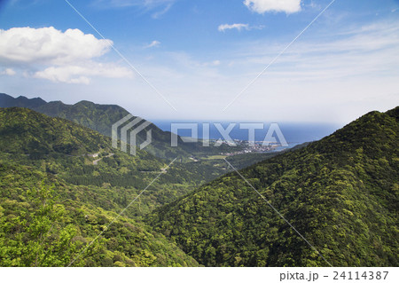 白谷雲水峡線からの眺め 白谷雲水峡線からの眺め 24114387