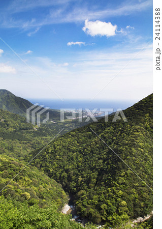 白谷雲水峡線からの眺め 白谷雲水峡線からの眺め 24114388