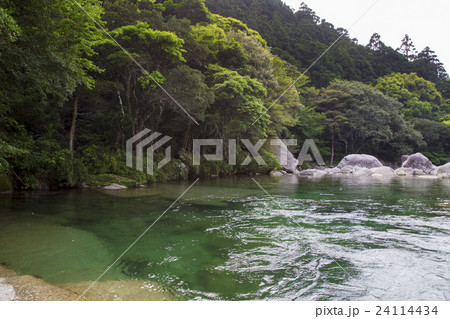 屋久島 横河渓谷の写真素材