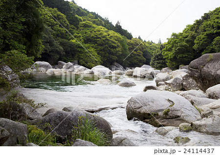 屋久島 横河渓谷 24114437