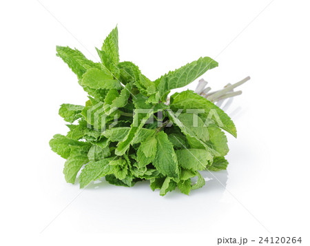 ripe green grapes on black wood table 24120264