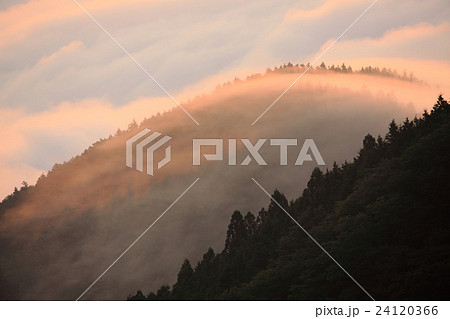 野迫川村 雲海 野迫川村 雲海 24120366