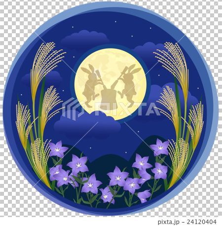 Five Years Illustration 02 24120404