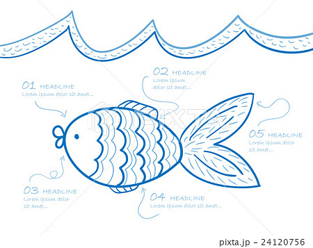 Fish drawing Fish drawing 24120756