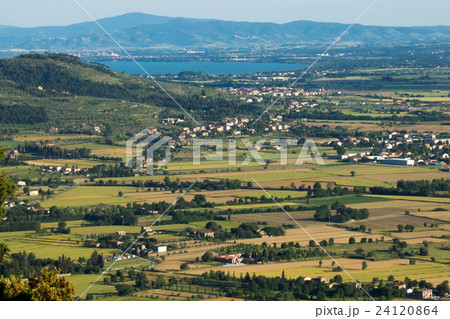 panorama of the Val di Chiana and Lake Trasimeno 24120864