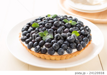 ブルーベリータルト ブルーベリータルト 24120938
