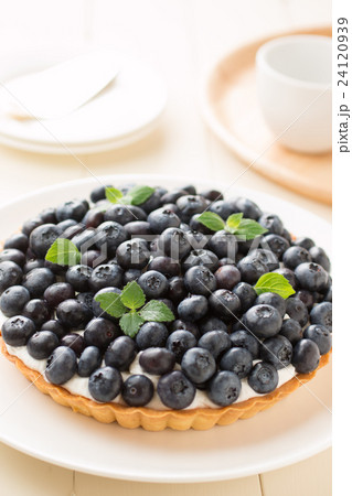 ブルーベリータルト ブルーベリータルト 24120939