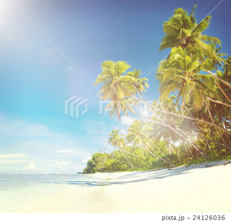 Tropical Beach Destination 24126036