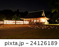 醍醐寺万灯会 24126189
