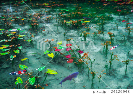 モネ モネ 24126948