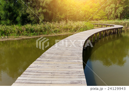 Wooden path with lake Wooden path with lake 24129943