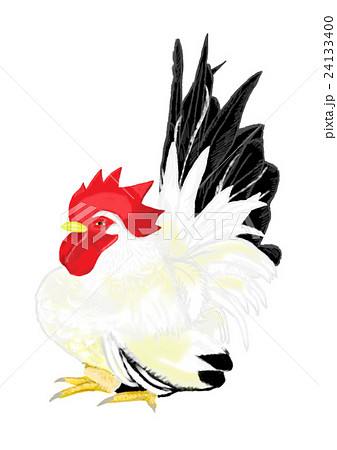 年賀 酉 チャボ オスのイラスト素材