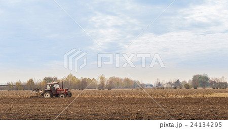 Red Tractor Plowing in Autumn 24134295