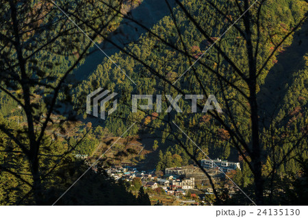 木のシルエットと紅葉した森 24135130