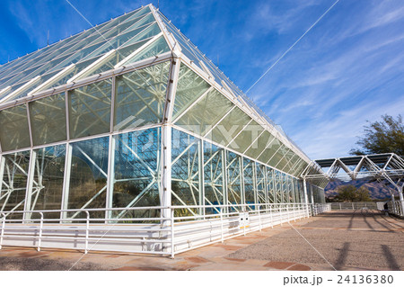 TUCSON - DECEMBER 01 TUCSON - DECEMBER 01 24136380