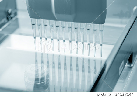 load DNA sample in electrophoresis device load DNA sample in electrophoresis device 24137144