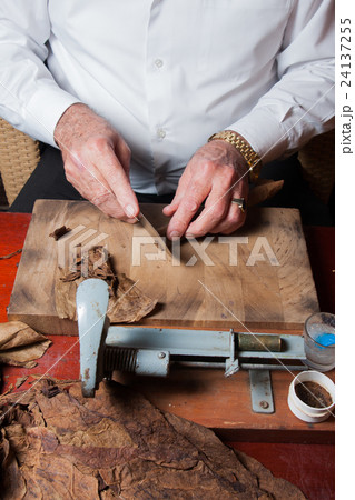 old man cigar roller rolling hand made cigars 24137255
