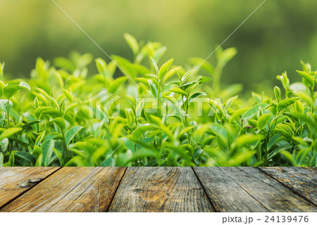 Wood brown Background Texture 24139476