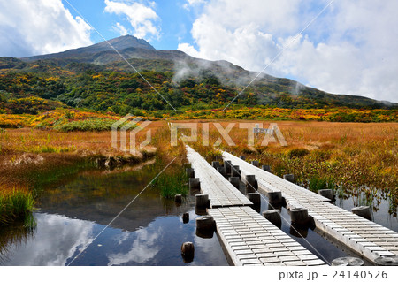 鳥海山竜ヶ原湿原の紅葉 鳥海山竜ヶ原湿原の紅葉 24140526