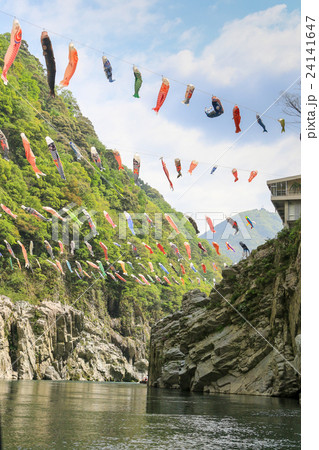 大歩危峡 24141647