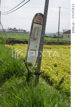 田舎のバス停 田舎のバス停 24142612