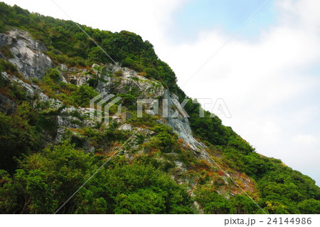 和歌山白崎海岸の石灰岩 24144986