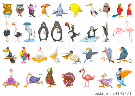Vector set of various birds illustrations. Vector set of various birds illustrations. 24145471