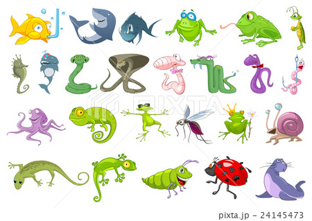 Vector set of animals illustrations. Vector set of animals illustrations. 24145473