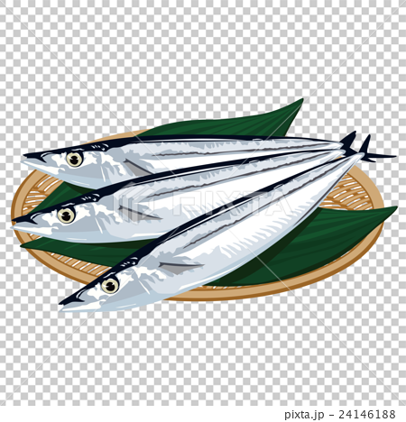秋刀魚 イラストのイラスト素材