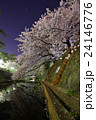 夙川夜桜2016 24146776