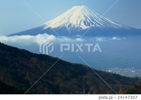 早春の御坂山地・本社ヶ丸からみる富士山 24147307