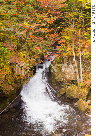 日光の紅葉と滝 日光の紅葉と滝 24149189