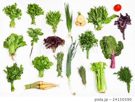 various bunches of fresh kitchen herbs various bunches of fresh kitchen herbs 24150390