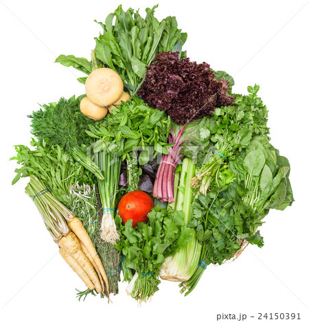 pile of bunches from fresh cut greenery isolated 24150391