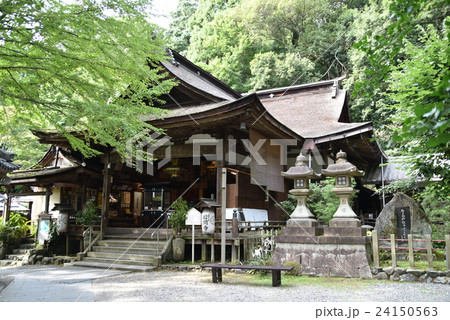 【西国三十三所】第十二番　青葉に囲まれた岩間寺の本堂　滋賀県大津市 24150563