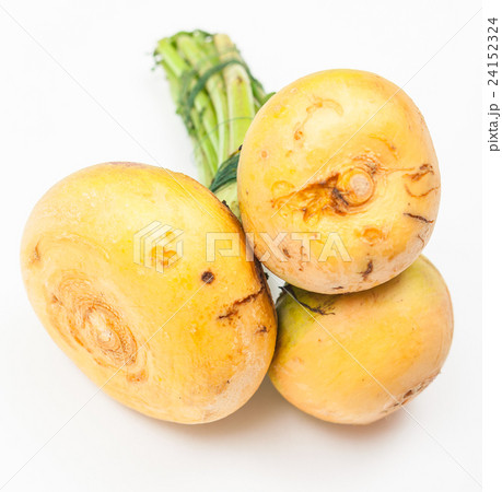 bunch of fresh cut turnip roots 24152324