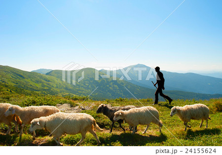 Herdsman in the mountains 24155624